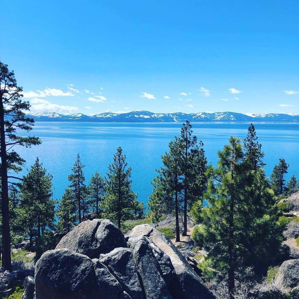 Meet your Posher, Jesus c